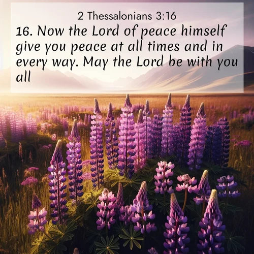 BasicEnglish 2 Thessalonians  ; image nature: image with the bible verse :Now the Lord of peace himself give you peace at all times and in every way. May the Lord be with you all. ; Browse an inspiring gallery of Bible verse images with nature photos, such as blooming gardens, golden deserts, and shaded forests. The chosen images capture the peaceful and joyful essence of God&#039;s creation, with vibrant colors and harmonious fonts. Share verses like KJV 2 Thessalonians 3:16. Current verse is overlayed with the thematic nature scene : Wild lupines paint purple meadows. Snow lingers on distant peaks. ; 3:16