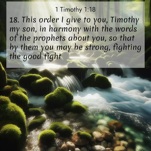 BBE 1 Timothy 1:18 overlaying nature image scene: A mountain stream tumbles through moss-covered stones. Sunlight dapples the crystal-clear water.;18. This order I give to you, Timothy my son, in harmony with the words of the prophets about you, so that by them you may be strong, fighting the good fight,