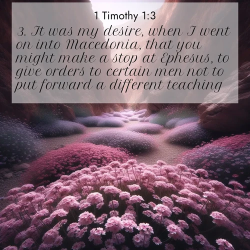 BBE 54 1:3