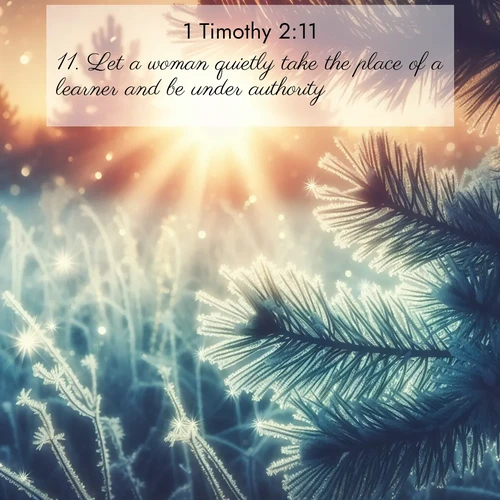 BasicEnglish 1 Timothy  ; image nature: image with the bible verse :Let a woman quietly take the place of a learner and be under authority. ; Discover tranquil Bible verse images enhanced with natural scenery like rippling brooks, snow-covered fields, and sunlit beaches. These free images are perfect for wallpapers or spiritual reflection. Share KJV 1 Timothy 2:11. Current verse is overlayed with the thematic nature scene : Morning frost rimes every needle. Weak sun struggles through branches. ; 2:11
