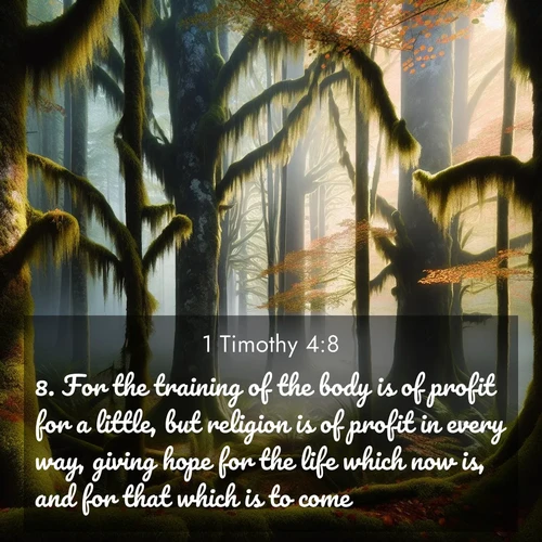 BBE 1 Timothy 4:8 overlaying nature image scene: Autumn fog shrouds an old-growth forest draped in moss and lichen.;8. For the training of the body is of profit for a little, but religion is of profit in every way, giving hope for the life which now is, and for that which is to come.