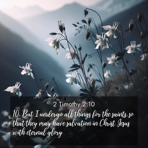 BasicEnglish 2 Timothy  ; image nature: image with the bible verse :But I undergo all things for the saints, so that they may have salvation in Christ Jesus with eternal glory. ; Browse a large collection of Bible verse images with photos showcasing the splendor of nature. Scenes of peaceful rivers, verdant valleys, and radiant skies enhance the inspiring verses. Each image reflects the serenity and joy of God&#039;s creation, with elegant text fonts. Download and share verses such as KJV 2 Timothy 2:10. Current verse is overlayed with the thematic nature scene : Wild columbines dance in breeze. Mountain air carries their perfume. ; 2:10