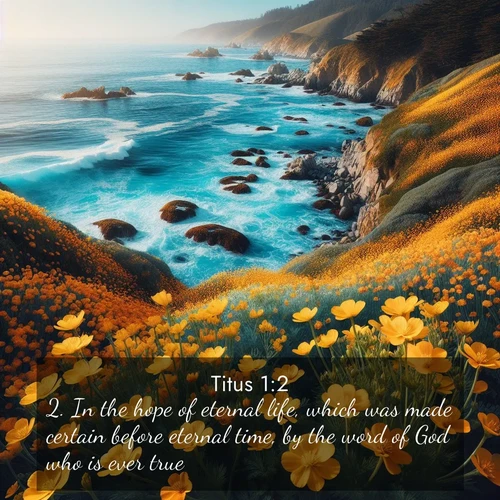 BBE 56 1:2