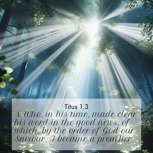 BBE 56 1:3