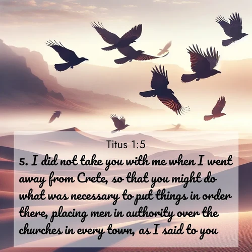 BBE Titus 1:5 overlaying nature image scene: Desert ravens soar on thermal currents. Their wings wear shadows like cloaks.;5. I did not take you with me when I went away from Crete, so that you might do what was necessary to put things in order there, placing men in authority over the churches in every town, as I said to you;