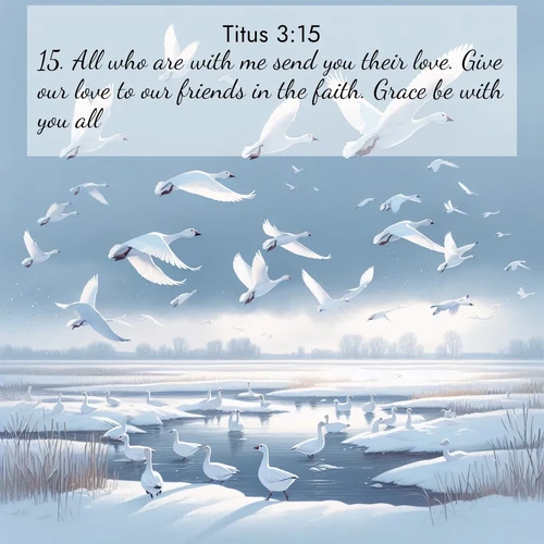 BasicEnglish Titus  ; image nature: image with the bible verse :All who are with me send you their love. Give our love to our friends in the faith. Grace be with you all. ; Explore a collection of Bible verses paired with springtime scenes, featuring blooming flowers, lush meadows, and trees in full bloom. These images symbolize divine renewal and hope. Download inspiring verses like KJV Titus 3:15. Current verse is overlayed with the thematic nature scene : Snow geese take flight from a winter marsh. Their wings flash white against leaden skies. ; 3:15