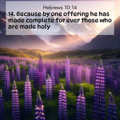 BBE Hebrews 10:14 overlaying nature image scene: Wild lupines paint mountain meadows purple. Snow lingers on distant peaks.;14. Because by one offering he has made complete for ever those who are made holy.
