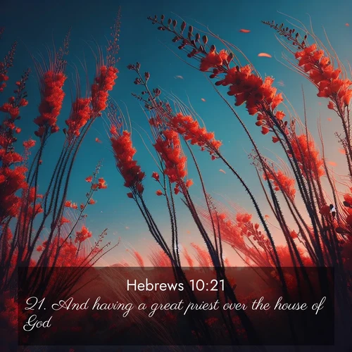 BBE Hebrews 10:21 overlaying nature image scene: Desert ocotillo flames against blue sky. Wind sings through its scarlet blooms.;21. And having a great priest over the house of God,