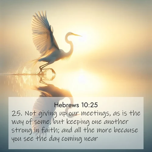 BBE Hebrews 10:25 overlaying nature image scene: A great egret lifts from mirror-still water. Sunrise sets its wings ablaze.;25. Not giving up our meetings, as is the way of some, but keeping one another strong in faith; and all the more because you see the day coming near.
