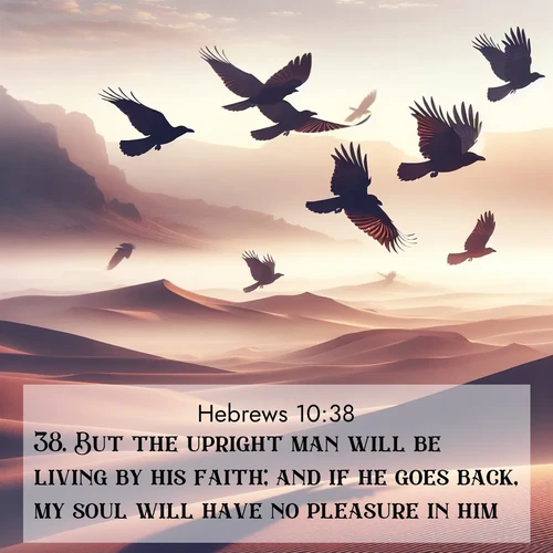 BBE Hebrews 10:38 overlaying nature image scene: Desert ravens soar on thermal currents. Their wings wear shadows like cloaks.;38. But the upright man will be living by his faith; and if he goes back, my soul will have no pleasure in him.
