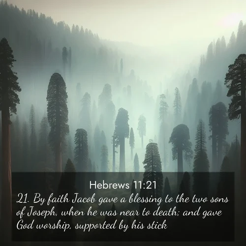 BasicEnglish Hebrews  ; image nature: image with the bible verse :By faith Jacob gave a blessing to the two sons of Joseph, when he was near to death; and gave God worship, supported by his stick. ; Discover a gallery of Bible verse images showcasing the beauty of autumn, with golden leaves, red forests, and peaceful fields bathed in soft light. These soothing scenes are perfect for accompanying inspiring verses like KJV Hebrews 11:21. Current verse is overlayed with the thematic nature scene : Ancient sequoias pierce through valley fog. Centuries of growth reach for filtered light. ; 11:21