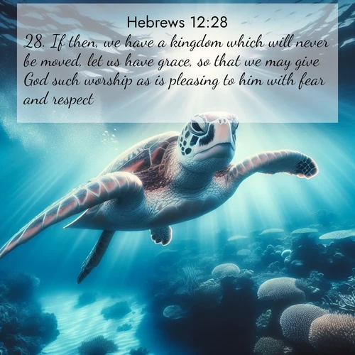 BBE Hebrews 12:28 overlaying nature image scene: A sea turtle glides through underwater sunbeams. Coral gardens glow in the depths below.;28. If then, we have a kingdom which will never be moved, let us have grace, so that we may give God such worship as is pleasing to him with fear and respect: