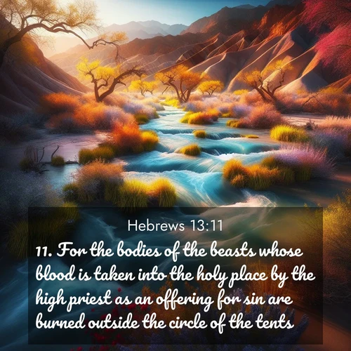 BasicEnglish Hebrews  ; image nature: image with the bible verse :For the bodies of the beasts whose blood is taken into the holy place by the high priest as an offering for sin are burned outside the circle of the tents. ; Discover beautiful Bible verse images that combine inspiring scripture with captivating nature photos. Download high-quality images featuring lush valleys, peaceful streams, and endless horizons like KJV Hebrews 13:11. Current verse is overlayed with the thematic nature scene : Spring floods transform desert arroyos into rushing streams. ; 13:11