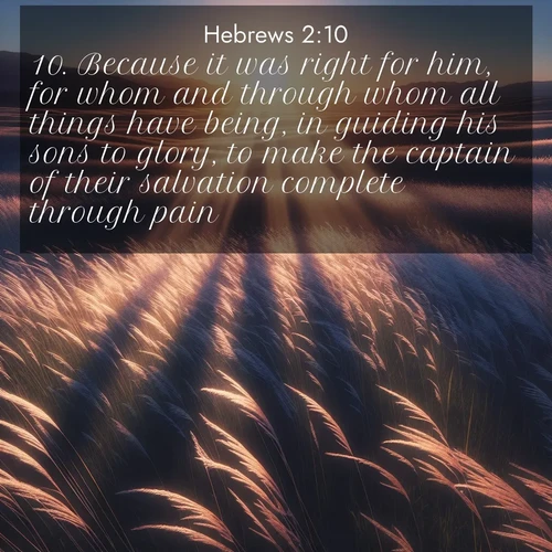 BasicEnglish Hebrews  ; image nature: image with the bible verse :Because it was right for him, for whom and through whom all things have being, in guiding his sons to glory, to make the captain of their salvation complete through pain. ; Admire our autumnal collection of Bible verse images accompanied by photos of paths lined with red and yellow leaves, fiery forests, and calm rivers. These images inspire reflection and serenity. Share verses like KJV Hebrews 2:10. Current verse is overlayed with the thematic nature scene : Summer breeze ripples through fields of prairie grass. ; 2:10