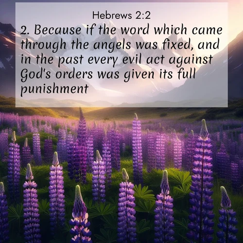 BBE 58 2:2