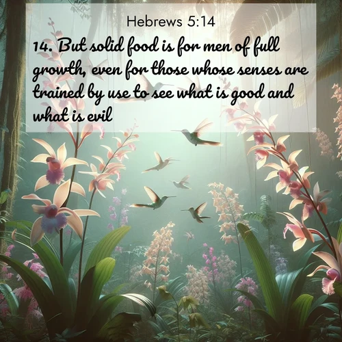 BasicEnglish Hebrews  ; image nature: image with the bible verse :But solid food is for men of full growth, even for those whose senses are trained by use to see what is good and what is evil. ; Explore beautiful Bible verse images paired with serene natural settings, such as calm seas, snowy paths, and verdant hills. Each image is free to download for your spiritual inspiration. Share KJV Hebrews 5:14. Current verse is overlayed with the thematic nature scene : Wild orchids bloom in rainforest canopy. Hummingbirds dance between delicate petals. ; 5:14