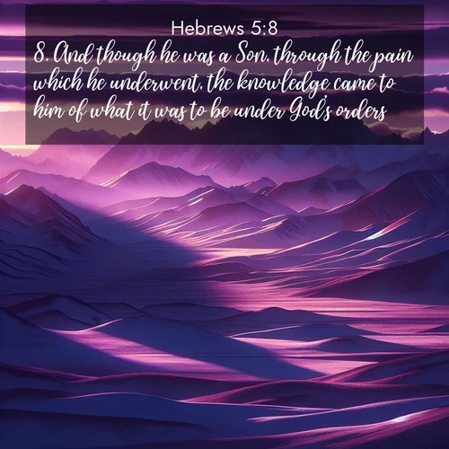 BBE Hebrews 5:8 overlaying nature image scene: Morning light ignites mountain snow. Valleys sleep in purple shadow.;8. And though he was a Son, through the pain which he underwent, the knowledge came to him of what it was to be under God's orders;