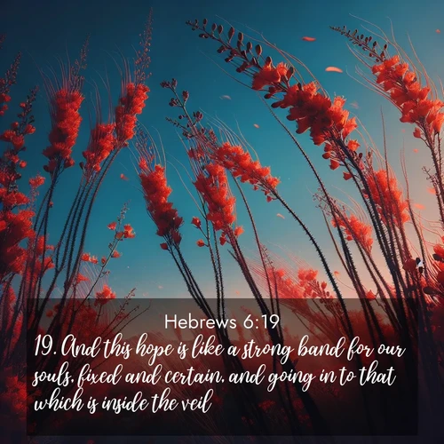 BasicEnglish Hebrews  ; image nature: image with the bible verse :And this hope is like a strong band for our souls, fixed and certain, and going in to that which is inside the veil; ; Discover our unique collection of Bible verse images integrated with photos showcasing the majesty of nature, such as rocky mountains, ancient trees, and crystal-clear lakes. These images feature luminous colors and text in varied fonts, reflecting the harmony of God&#039;s creation. Download verses like KJV Hebrews 6:19. Current verse is overlayed with the thematic nature scene : Desert ocotillo flames against blue sky. Wind sings through its scarlet blooms. ; 6:19