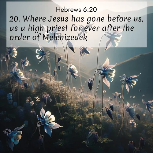 BasicEnglish Hebrews  ; image nature: image with the bible verse :Where Jesus has gone before us, as a high priest for ever after the order of Melchizedek. ; Discover Bible images illustrated by desert landscapes, like sand dunes, majestic rocks, and starry skies. These images symbolize the grandeur and immensity of God&#039;s creation. Download verses like KJV Hebrews 6:20. Current verse is overlayed with the thematic nature scene : Wild columbines dance on impossibly thin stems. Mountain breezes carry their perfume. ; 6:20