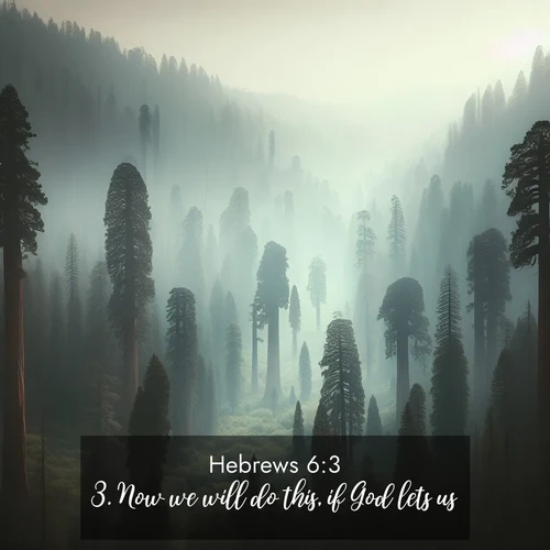 BasicEnglish Hebrews  ; image nature: image with the bible verse :Now we will do this, if God lets us. ; Explore a unique collection of Bible verses illustrated by winter landscapes, such as snowy mountains, frosty forests, and starry skies. These images capture the peace and beauty of winter. Share verses like KJV Hebrews 6:3. Current verse is overlayed with the thematic nature scene : Ancient sequoias pierce through valley fog. Centuries of growth reach for filtered light. ; 6:3