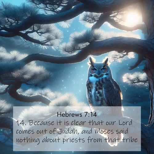 BasicEnglish Hebrews  ; image nature: image with the bible verse :Because it is clear that our Lord comes out of Judah, and Moses said nothing about priests from that tribe. ; Explore a collection of free Bible verse images paired with serene landscapes like golden beaches, verdant forests, and clear blue skies. Each image is ideal for desktop or phone wallpapers. Share verses like KJV Hebrews 7:14. Current verse is overlayed with the thematic nature scene : A great horned owl watches from ancient pine branches. Moonlight silvers its silent wings. ; 7:14