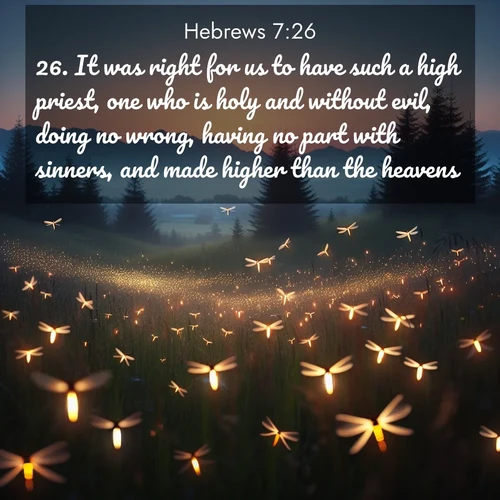 BasicEnglish Hebrews  ; image nature: image with the bible verse :It was right for us to have such a high priest, one who is holy and without evil, doing no wrong, having no part with sinners, and made higher than the heavens: ; Discover Bible verse images capturing the warmth of summer, with beach landscapes, sunlit fields, and clear skies. These bright scenes reflect divine joy. Share verses like KJV Hebrews 7:26. Current verse is overlayed with the thematic nature scene : Lightning bugs rise from summer meadows at dusk. Their lights dance like earthbound stars. ; 7:26