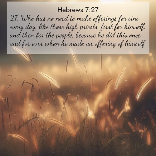 BasicEnglish Hebrews  ; image nature: image with the bible verse :Who has no need to make offerings for sins every day, like those high priests, first for himself, and then for the people; because he did this once and for ever when he made an offering of himself. ; Explore an inspiring selection of Bible verse images adorned with nature photos, such as starry skies, verdant hills, and golden beaches. Each image reflects the peace and beauty of God&#039;s creation with vibrant colors and varied fonts. Share uplifting verses like KJV Hebrews 7:27. Current verse is overlayed with the thematic nature scene : Summer heat brings out cricket songs in meadow grass. ; 7:27