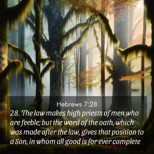 BasicEnglish Hebrews  ; image nature: image with the bible verse :The law makes high priests of men who are feeble; but the word of the oath, which was made after the law, gives that position to a Son, in whom all good is for ever complete. ; Browse a vast collection of Bible verse images featuring awe-inspiring landscapes such as calm lakes, vibrant sunsets, and peaceful fields. Download them for free and enjoy verses like KJV Hebrews 7:28. Current verse is overlayed with the thematic nature scene : Autumn fog shrouds an old-growth forest draped in moss and lichen. ; 7:28
