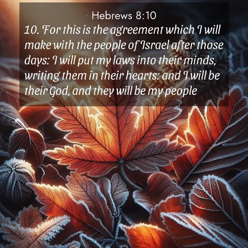 BasicEnglish Hebrews  ; image nature: image with the bible verse :For this is the agreement which I will make with the people of Israel after those days: I will put my laws into their minds, writing them in their hearts: and I will be their God, and they will be my people: ; Explore a collection of free Bible verse images paired with serene landscapes like golden beaches, verdant forests, and clear blue skies. Each image is ideal for desktop or phone wallpapers. Share verses like KJV Hebrews 8:10. Current verse is overlayed with the thematic nature scene : Autumn frost rims fallen leaves with crystal. ; 8:10