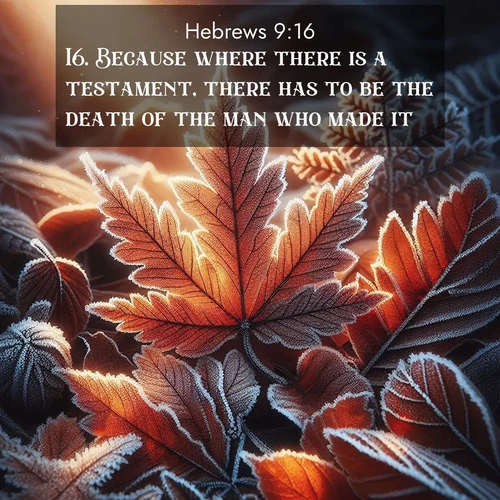 BasicEnglish Hebrews  ; image nature: image with the bible verse :Because where there is a testament, there has to be the death of the man who made it. ; Explore a gallery of beautiful Bible verse images with tranquil natural settings—perfect for phone backgrounds or inspirational posts. Download your favorite verses like KJV Hebrews 9:16 today. Current verse is overlayed with the thematic nature scene : Autumn frost rims fallen leaves with crystal. ; 9:16