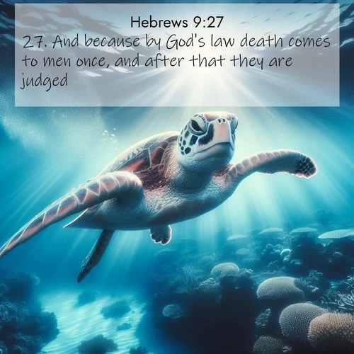 BasicEnglish Hebrews  ; image nature: image with the bible verse :And because by God&#039;s law death comes to men once, and after that they are judged; ; Explore winter-themed Bible verse images illustrated by snowy mountains, frost-covered branches, and clear skies. These landscapes reflect divine purity and peace. Download verses like KJV Hebrews 9:27. Current verse is overlayed with the thematic nature scene : A sea turtle glides through underwater sunbeams. Coral gardens glow in the depths below. ; 9:27