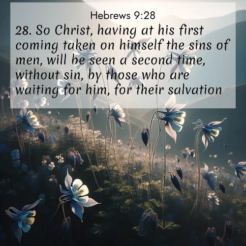 BasicEnglish Hebrews  ; image nature: image with the bible verse :So Christ, having at his first coming taken on himself the sins of men, will be seen a second time, without sin, by those who are waiting for him, for their salvation. ; Admire Bible images evoking autumn, with warm colors of fallen leaves, harvested fields, and tranquil woods. These inspiring landscapes reflect the transition and beauty of God&#039;s creation. Download verses like KJV Hebrews 9:28. Current verse is overlayed with the thematic nature scene : Wild columbines dance on impossibly thin stems. Mountain breezes carry their perfume. ; 9:28
