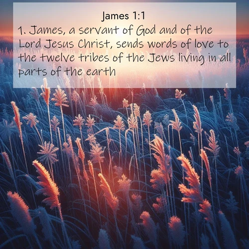 BBE James 1:1 overlaying nature image scene: Winter sunrise illuminates frost-covered prairie grass.;1. James, a servant of God and of the Lord Jesus Christ, sends words of love to the twelve tribes of the Jews living in all parts of the earth.