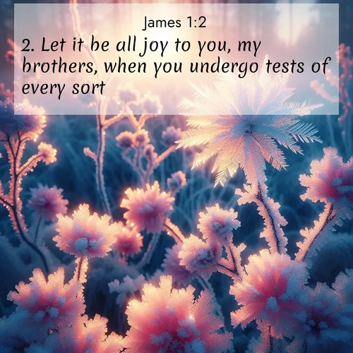 BBE 59 1:2