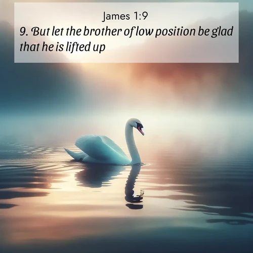 BBE James 1:9 overlaying nature image scene: A single swan glides across a misty lake. Dawn paints the water in pastels.;9. But let the brother of low position be glad that he is lifted up;