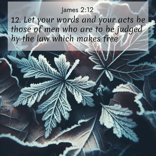 BasicEnglish James  ; image nature: image with the bible verse :Let your words and your acts be those of men who are to be judged by the law which makes free. ; Explore serene Bible verse images adorned with photos of divine creation—tranquil beaches, snowy mountains, and starry skies. Each image is free to download and share. Verses include KJV James 2:12. Current verse is overlayed with the thematic nature scene : Winter frost creates delicate patterns on fallen leaves. ; 2:12