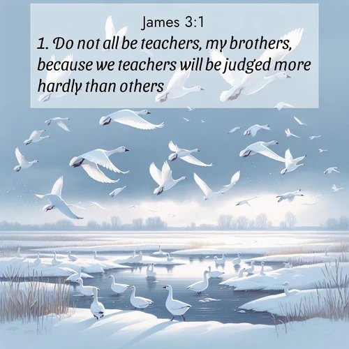 BBE James 3:1 overlaying nature image scene: Snow geese take flight from a winter marsh. Their wings flash white against leaden skies.;1. Do not all be teachers, my brothers, because we teachers will be judged more hardly than others.