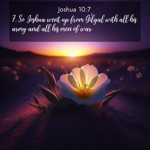 BBE Joshua 10:7 overlaying nature image scene: Desert evening primrose opens to the setting sun. Stars emerge in the deepening purple sky.;7. So Joshua went up from Gilgal with all his army and all his men of war.