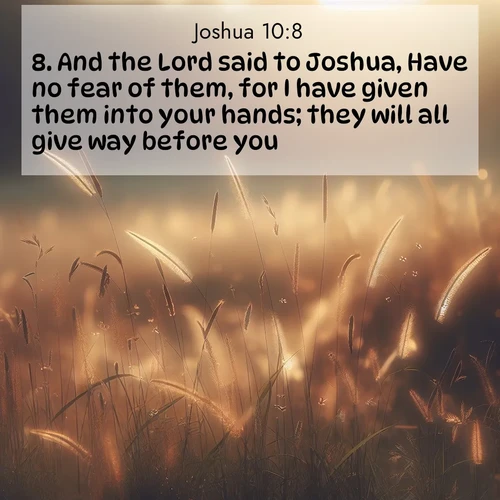 BBE Joshua 10:8 overlaying nature image scene: Summer heat brings out cricket songs in meadow grass.;8. And the Lord said to Joshua, Have no fear of them, for I have given them into your hands; they will all give way before you.