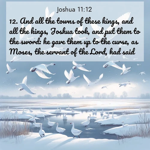 BBE Joshua 11:12 overlaying nature image scene: Snow geese take flight from a winter marsh. Their wings flash white against leaden skies.;12. And all the towns of these kings, and all the kings, Joshua took, and put them to the sword: he gave them up to the curse, as Moses, the servant of the Lord, had said.
