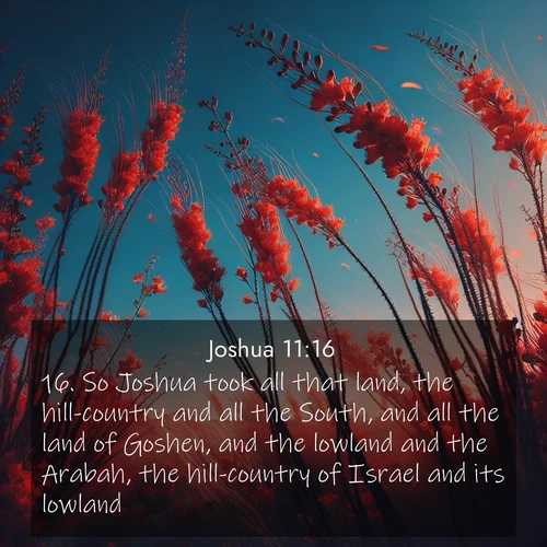 BBE Joshua 11:16 overlaying nature image scene: Desert ocotillo flames against blue sky. Wind sings through its scarlet blooms.;16. So Joshua took all that land, the hill-country and all the South, and all the land of Goshen, and the lowland and the Arabah, the hill-country of Israel and its lowland;