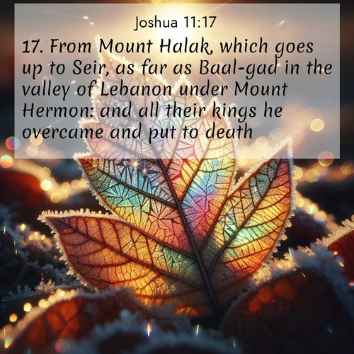 BBE Joshua 11:17 overlaying nature image scene: Frost crystals form intricate patterns on a fallen leaf. Morning sun transforms them into rainbow prisms.;17. From Mount Halak, which goes up to Seir, as far as Baal-gad in the valley of Lebanon under Mount Hermon: and all their kings he overcame and put to death.
