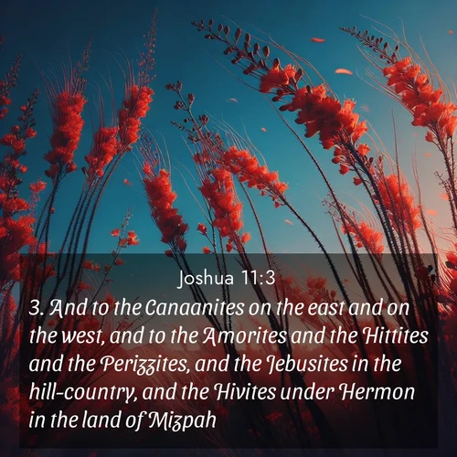 BBE 6 11:3