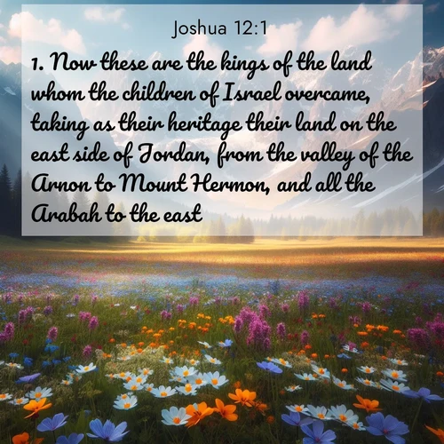 BBE 6 12:1