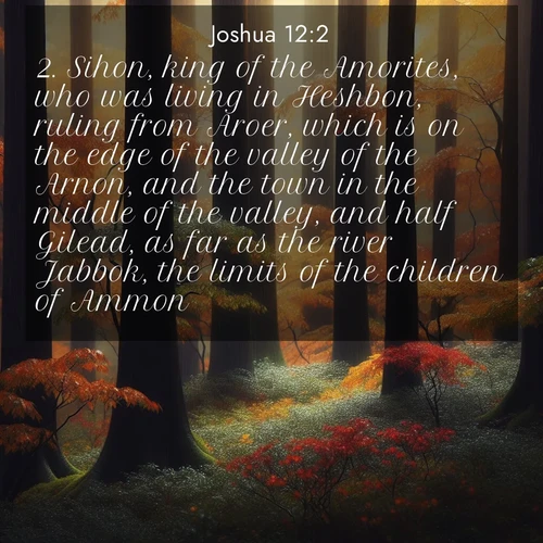 BBE 6 12:2