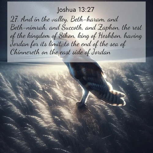 BBE Joshua 13:27 overlaying nature image scene: A barn owl quarters silent fields. Moonlight turns meadow grass to silver.;27. And in the valley, Beth-haram, and Beth-nimrah, and Succoth, and Zaphon, the rest of the kingdom of Sihon, king of Heshbon, having Jordan for its limit, to the end of the sea of Chinnereth on the east side of Jordan.
