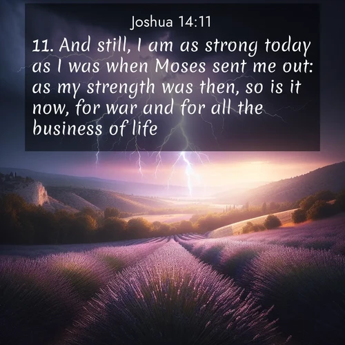 BasicEnglish Joshua  ; image nature: image with the bible verse :And still, I am as strong today as I was when Moses sent me out: as my strength was then, so is it now, for war and for all the business of life. ; Explore a collection of inspiring Bible verse images accompanied by winter photos, such as snowy landscapes, frosted trees, and frozen lakes. These images reflect the peace and purity of God&#039;s creation, with elegant fonts and luminous colors. Download and share verses like KJV Joshua 14:11. Current verse is overlayed with the thematic nature scene : Lightning illuminates a field of lavender in the Provence countryside. Thunder rolls across the valley like distant drums. ; 14:11