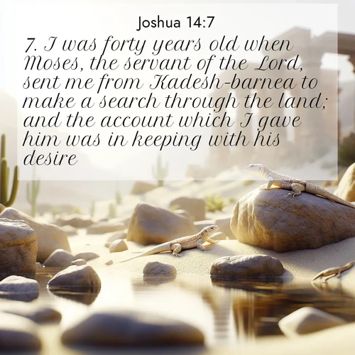 BasicEnglish Joshua  ; image nature: image with the bible verse :I was forty years old when Moses, the servant of the Lord, sent me from Kadesh-barnea to make a search through the land; and the account which I gave him was in keeping with his desire. ; Explore beautiful Bible verse images paired with serene natural settings, such as calm seas, snowy paths, and verdant hills. Each image is free to download for your spiritual inspiration. Share KJV Joshua 14:7. Current verse is overlayed with the thematic nature scene : Desert lizards bask on sun-warmed rocks near ancient ruins. ; 14:7