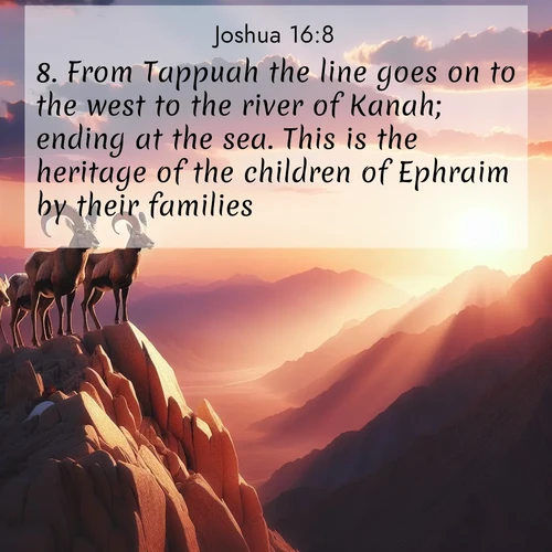 BBE Joshua 16:8 overlaying nature image scene: Desert bighorns pause on a knife-edge ridge. Sunset paints their horns in gold.;8. From Tappuah the line goes on to the west to the river of Kanah; ending at the sea. This is the heritage of the children of Ephraim by their families;