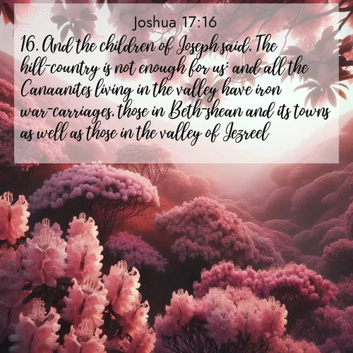 BasicEnglish Joshua  ; image nature: image with the bible verse :And the children of Joseph said, The hill-country is not enough for us: and all the Canaanites living in the valley have iron war-carriages, those in Beth-shean and its towns as well as those in the valley of Jezreel. ; Admire Bible verse images illustrated by desert scenes, such as sunsets over dunes, majestic rocks, and solitary cacti. These images capture the majesty of God in arid places. Download and share verses like KJV Joshua 17:16. Current verse is overlayed with the thematic nature scene : Mountain laurel blooms paint hillsides pink. Spring breezes carry their honey scent. ; 17:16